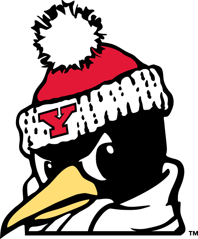 Youngstown State Penguins 1993-Pres Alternate Logo 04 vinyl decal